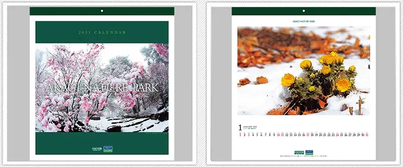 第72回全国カレンダー展（2021年）入賞作品｜導入事例