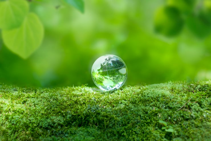 SDGsに企業が取り組む意味とは？取り組みの流れや注意点、事例を紹介