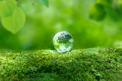 SDGsに企業が取り組むメリットとは？取り組みの流れや注意点、事例を紹介 | TOPPANクロレ