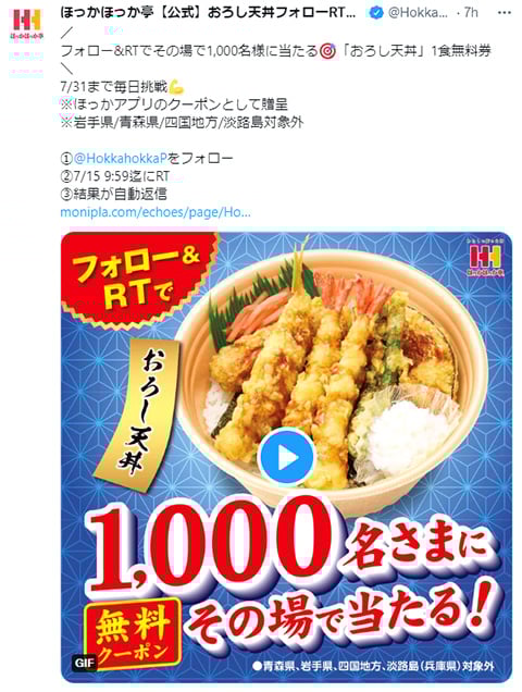 hokkahokka_campaign