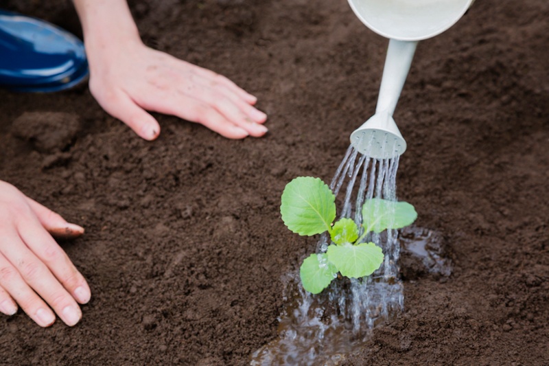 lead_nurturing