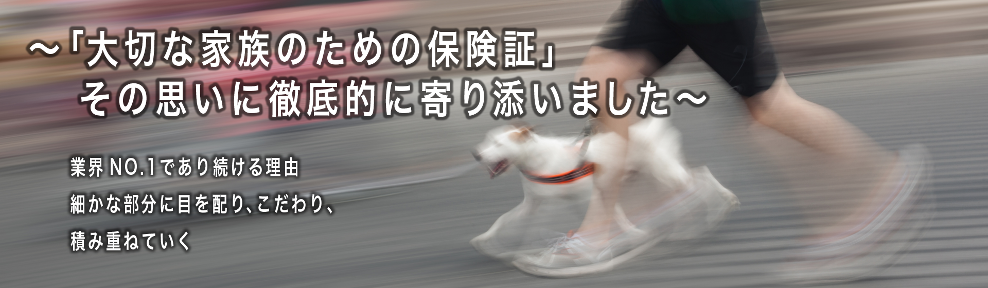 anikomu_KV_0324-1-1-1