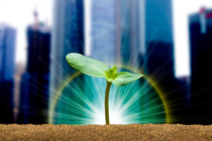 リブランディングとは？進め方や成功するポイント、事例を紹介 | TOPPANクロレ