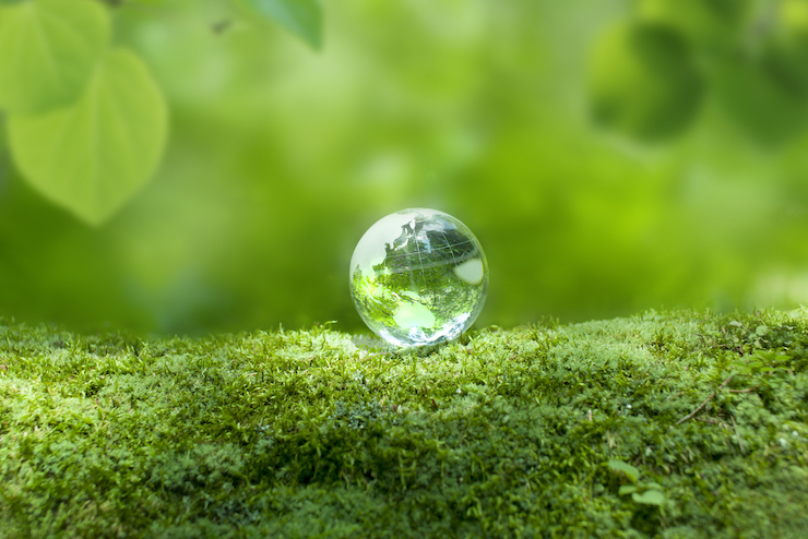 SDGsに企業が取り組む意味とは？取り組みの流れや注意点、事例を紹介 | TOPPANクロレ