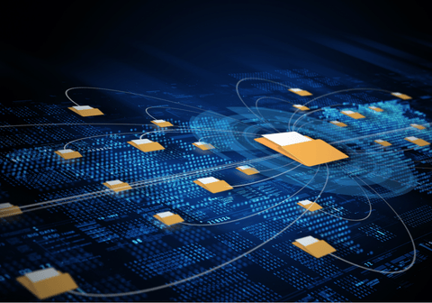 digital_archive_image