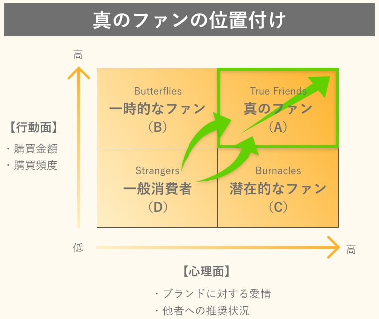 顧客分類と真のファンの位置付け図解